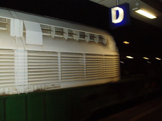 Datei:Castor2.jpg