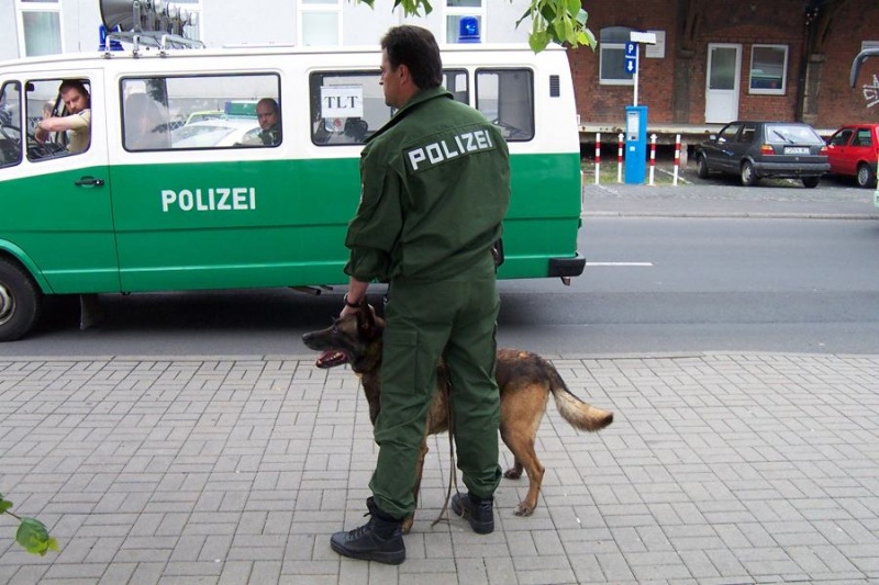 Datei:Dcp 3420-biswuetiger-hund-nach-biss.jpg